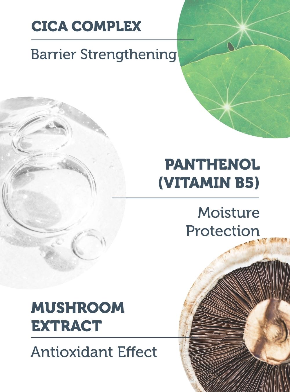 Soothening & Smoothening Cica Cerum- 30 ML