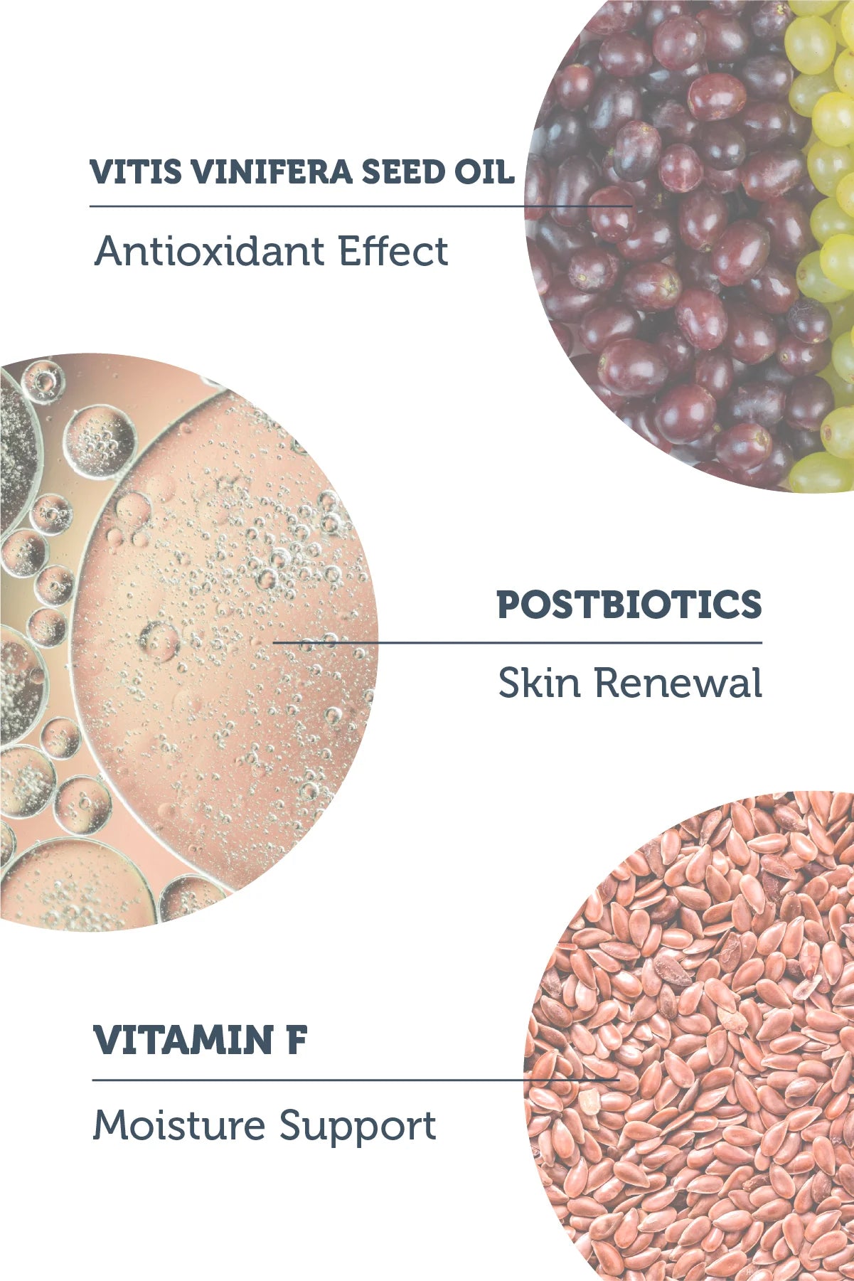 Postbiotic Purifying Cleansing Oil 150 ml