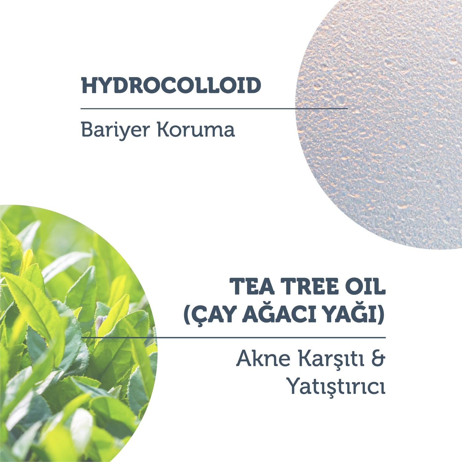 Hydrocolloid Anti-Acne &amp; Soothing Patches, Pack of 36