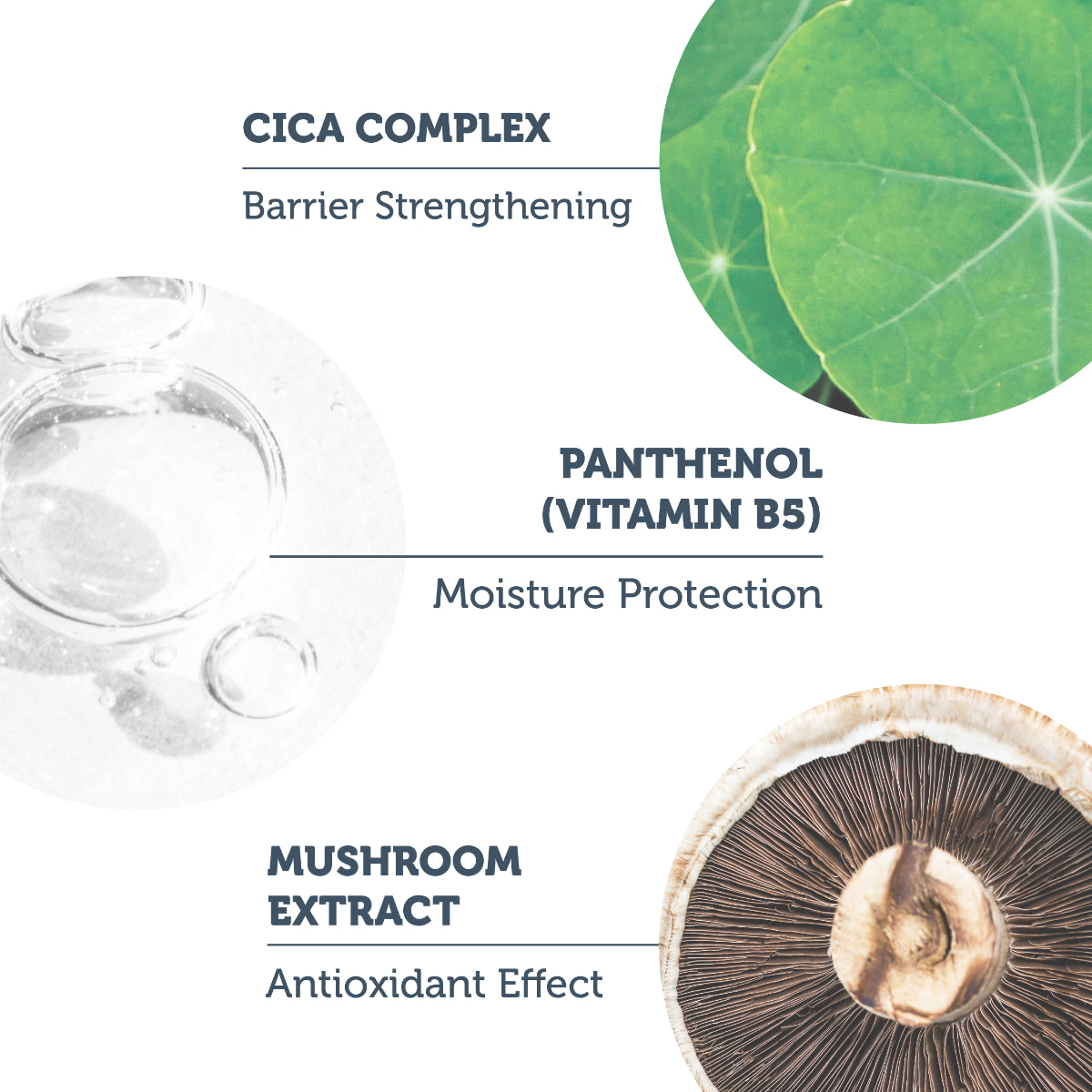 The Purest Solutions Soothing Cica Serum 30ml